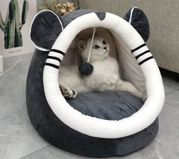 cama del gato del diseñador