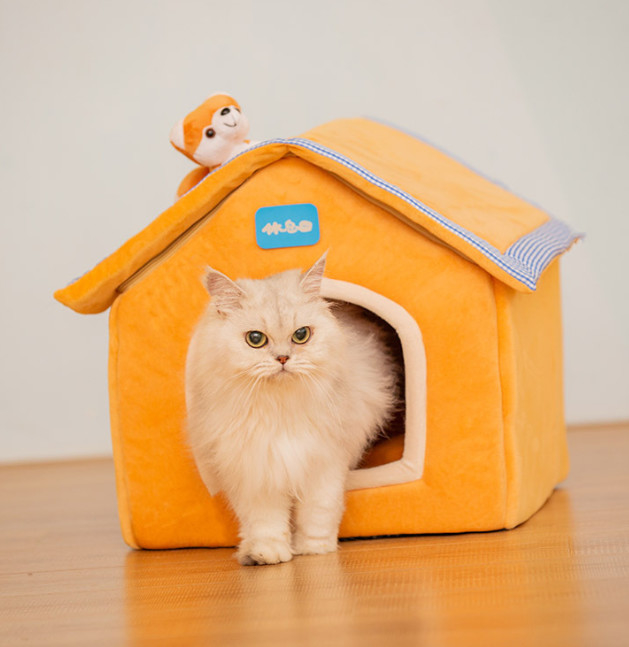 pequeña cama del gato