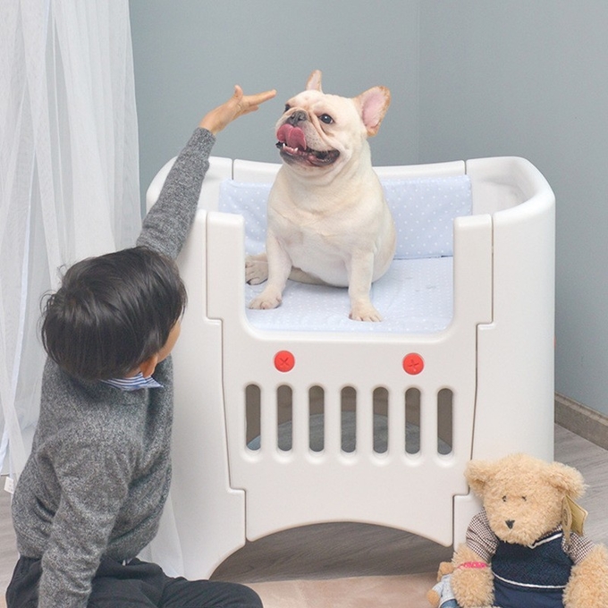 cama plástica del animal doméstico