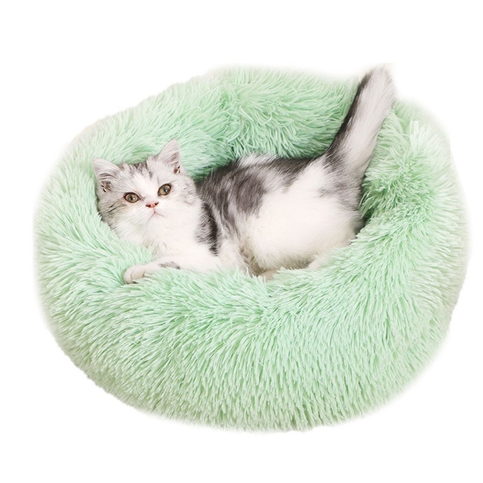 la mejor cama del buñuelo para los perros