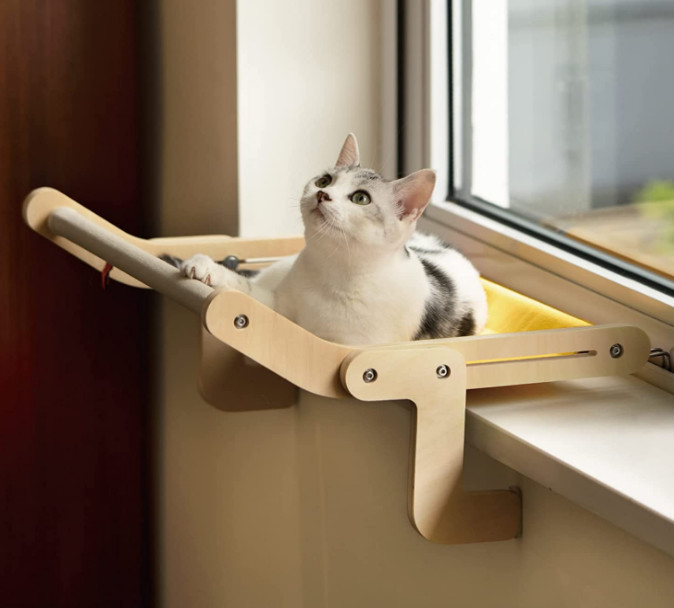 cama del gato de la ejecución de la ventana