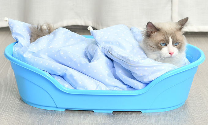 cama plástica del gato