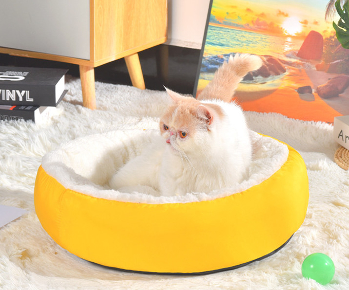 pequeña cama del gatito