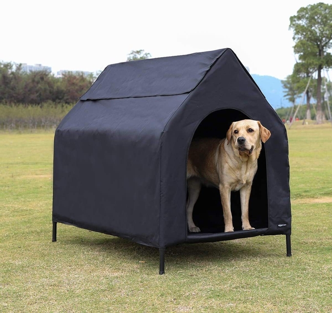  el xl elevó la cama del perro