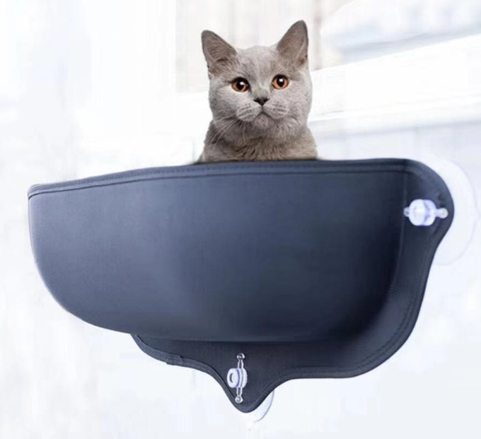 pequeña hamaca del gato