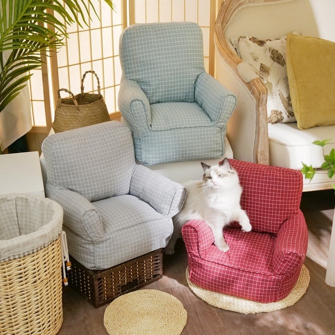 cama del sofá del gato