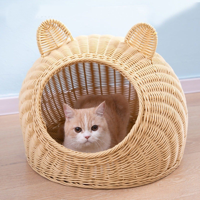 cama del gato del bastón