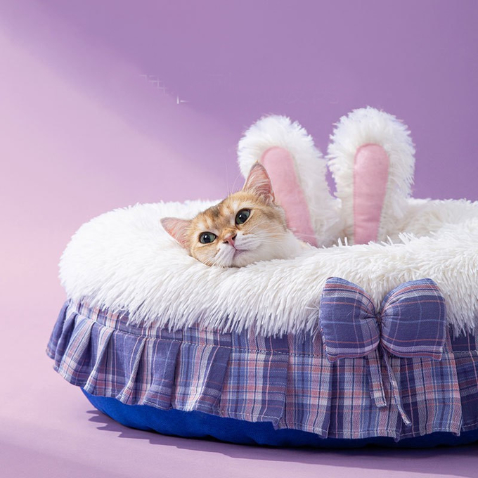 cama púrpura del gato