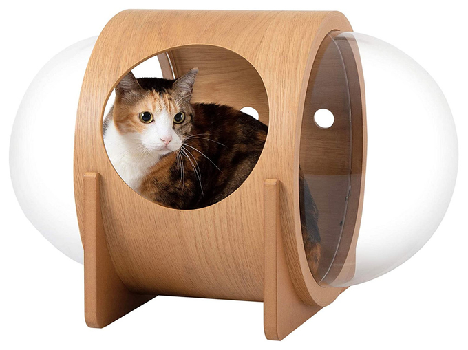 cápsula de la cama del gato