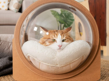 cama del gato de la cápsula