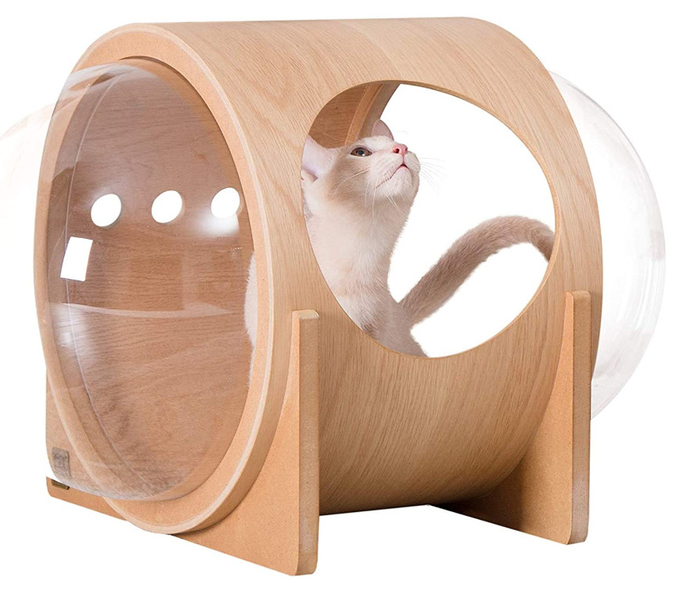 cama del gato de la cápsula