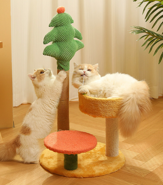 árbol del gato con la cama grande