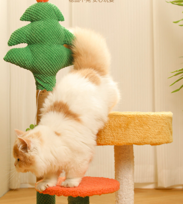 casa del gato del árbol de navidad