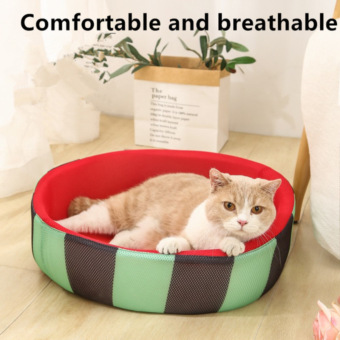 cama del gato de la sandía
