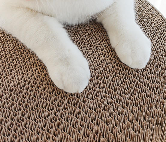 cama del gato de la caja de cartón